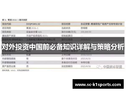 对外投资中国前必备知识详解与策略分析