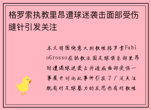 格罗索执教里昂遭球迷袭击面部受伤缝针引发关注 格罗索执教里昂遭球迷袭击面部受伤缝针引发关注